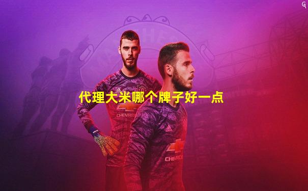 代理大米哪个牌子好一点