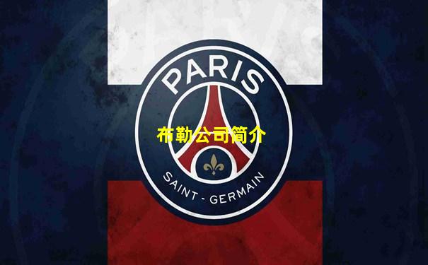布勒公司简介