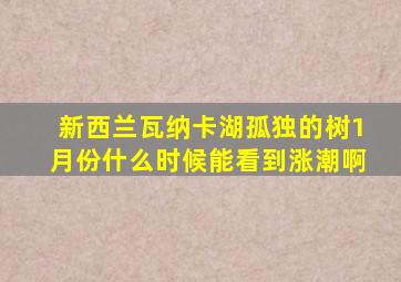 新西兰瓦纳卡湖孤独的树1月份什么时候能看到涨潮啊