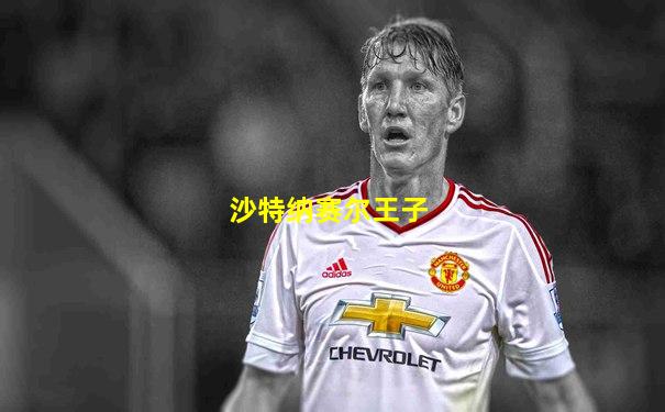 沙特纳赛尔王子