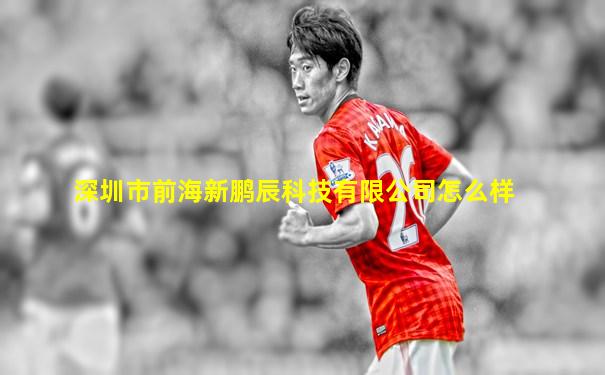 深圳市前海新鹏辰科技有限公司怎么样