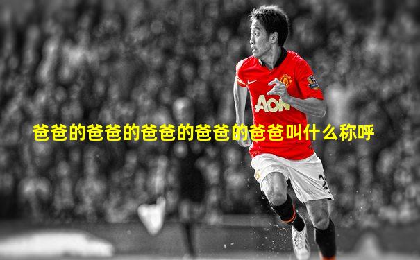 爸爸的爸爸的爸爸的爸爸的爸爸叫什么称呼