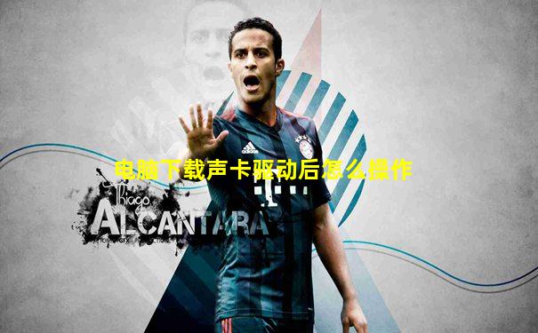 电脑下载声卡驱动后怎么操作