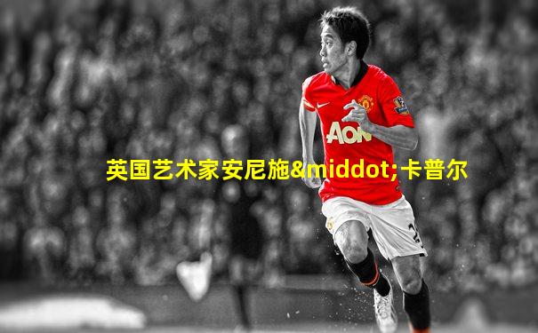 英国艺术家安尼施·卡普尔