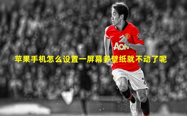 苹果手机怎么设置一屏幕多壁纸就不动了呢
