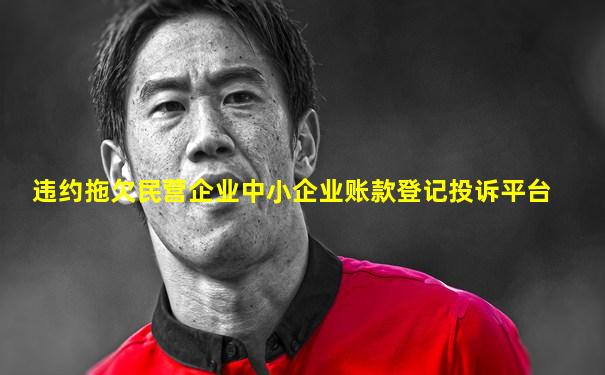 违约拖欠民营企业中小企业账款登记投诉平台