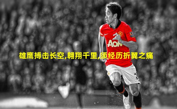 雄鹰搏击长空,翱翔千里,须经历折翼之痛