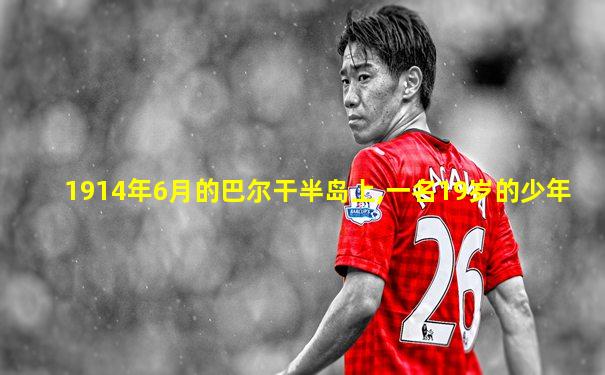 1914年6月的巴尔干半岛上,一名19岁的少年