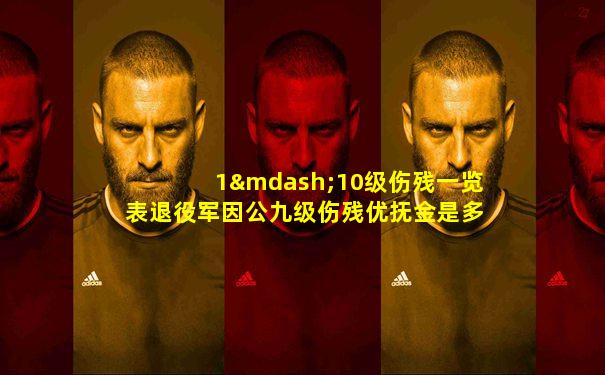 1—10级伤残一览表退役军因公九级伤残优抚金是多少