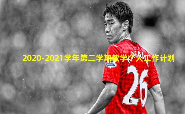 2020-2021学年第二学期教学个人工作计划