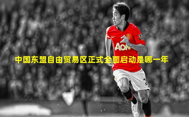 中国东盟自由贸易区正式全面启动是哪一年