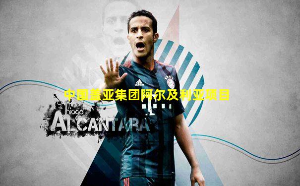 中国盖亚集团阿尔及利亚项目