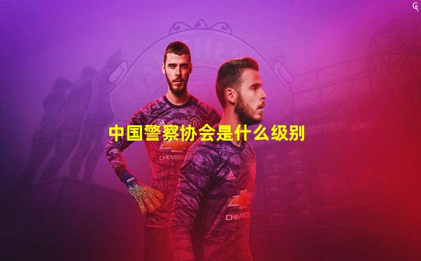 中国警察协会是什么级别