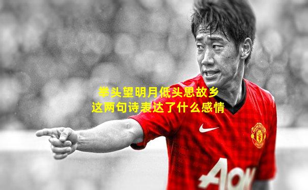 举头望明月低头思故乡这两句诗表达了什么感情