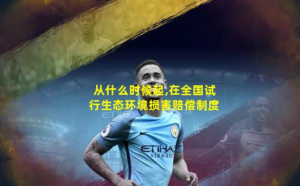 从什么时候起,在全国试行生态环境损害赔偿制度