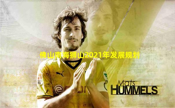 佛山南海狮山2021年发展规划