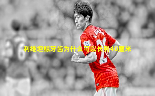 利维坦鲸牙齿为什么可以长到40厘米