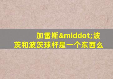 加雷斯·波茨和波茨球杆是一个东西么