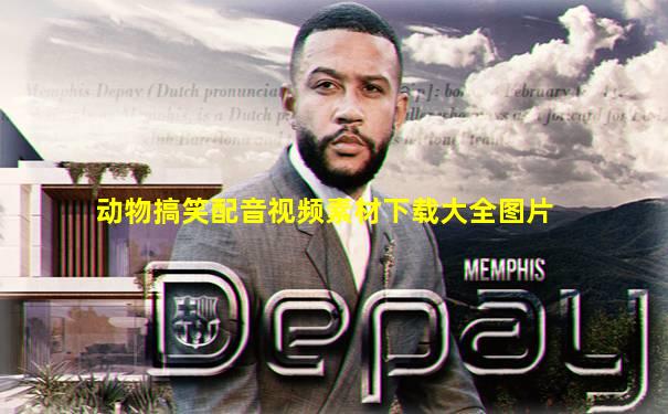 动物搞笑配音视频素材下载大全图片