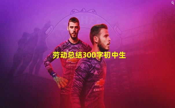 劳动总结300字初中生