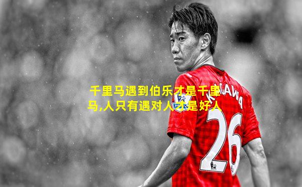 千里马遇到伯乐才是千里马,人只有遇对人才是好人