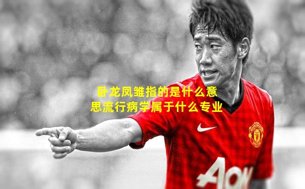 卧龙凤雏指的是什么意思流行病学属于什么专业