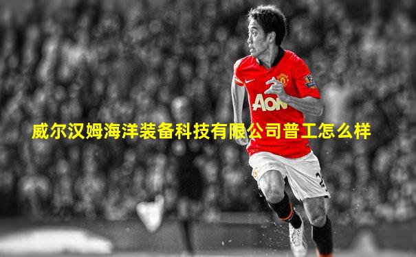 威尔汉姆海洋装备科技有限公司普工怎么样