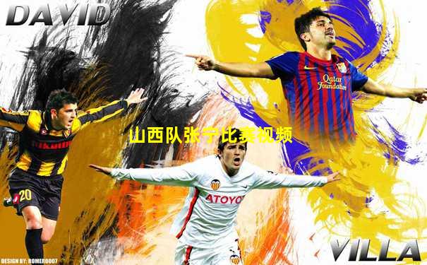山西队张宁比赛视频