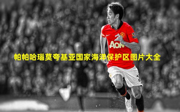 帕帕哈瑙莫夸基亚国家海洋保护区图片大全