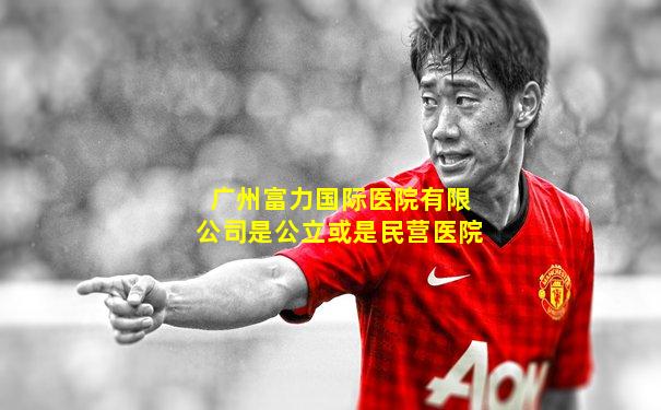 广州富力国际医院有限公司是公立或是民营医院