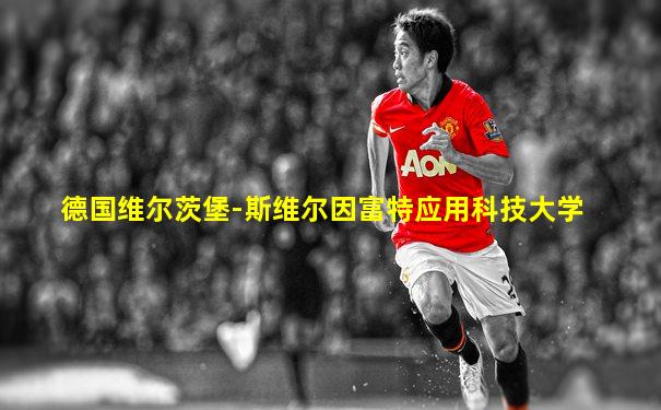 德国维尔茨堡-斯维尔因富特应用科技大学
