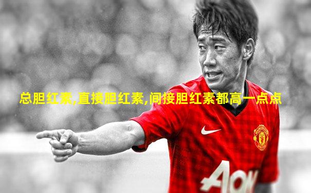 总胆红素,直接胆红素,间接胆红素都高一点点