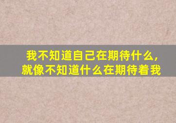我不知道自己在期待什么,就像不知道什么在期待着我