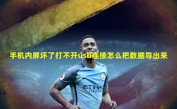 手机内屏坏了打不开usb连接怎么把数据导出来