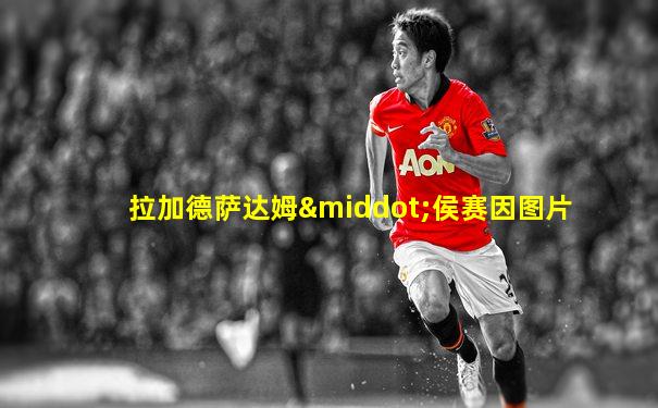 拉加德萨达姆·侯赛因图片
