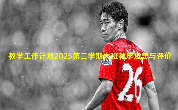 教学工作计划2025第二学期大班教学反思与评价