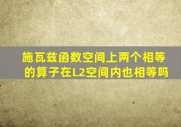 施瓦兹函数空间上两个相等的算子在L2空间内也相等吗