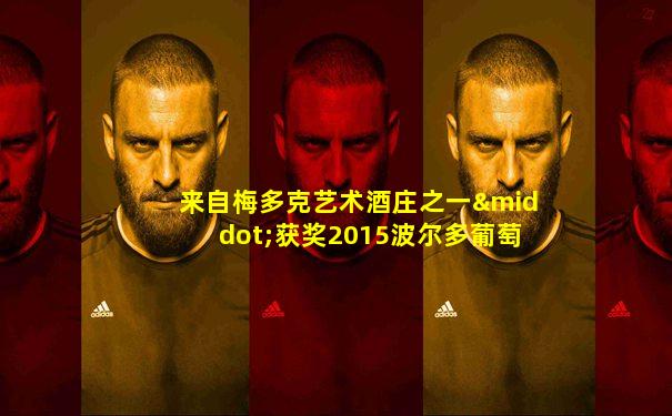 来自梅多克艺术酒庄之一·获奖2015波尔多葡萄酒