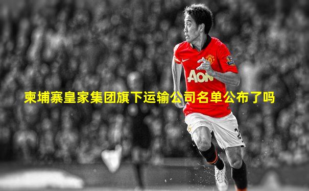 柬埔寨皇家集团旗下运输公司名单公布了吗