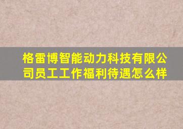 格雷博智能动力科技有限公司员工工作福利待遇怎么样