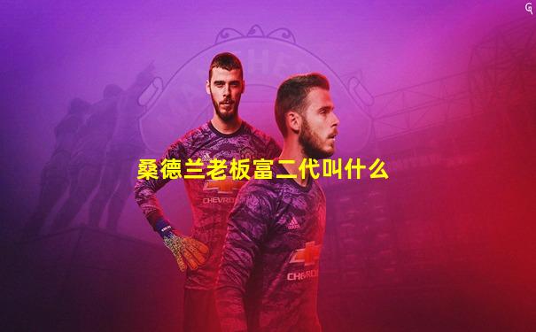 桑德兰老板富二代叫什么