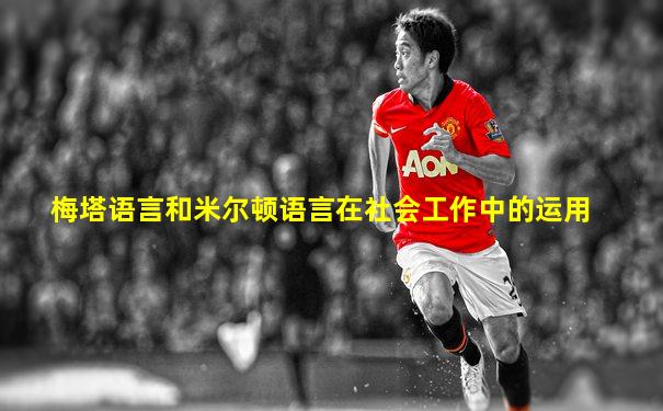梅塔语言和米尔顿语言在社会工作中的运用