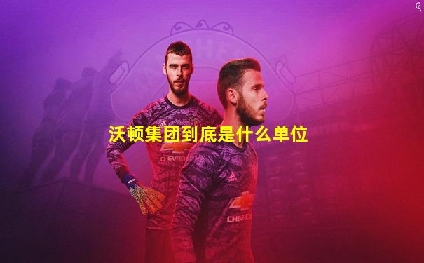 沃顿集团到底是什么单位