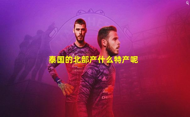 泰国的北部产什么特产呢