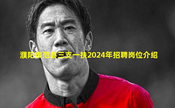 濮阳市范县三支一扶2024年招聘岗位介绍