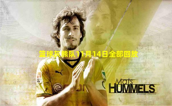 篮球灰熊队11月14日全部回放