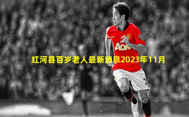 红河县百岁老人最新消息2023年11月