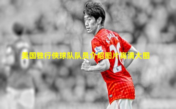 美国独行侠球队队员介绍图片高清大图