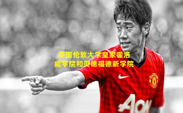 英国伦敦大学皇家霍洛威学院和贝德福德新学院