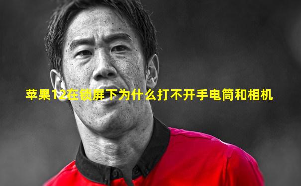 苹果12在锁屏下为什么打不开手电筒和相机